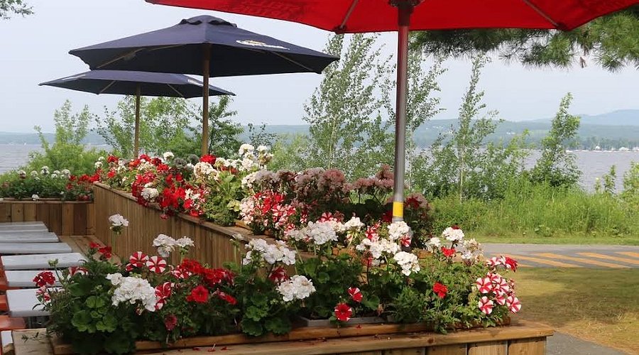 Le Petit Tacos terrasse